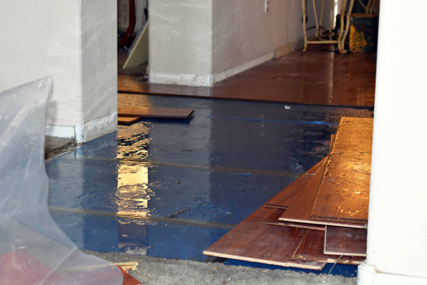 Professional Basement Flood Cleanup technician working in New River, AZ